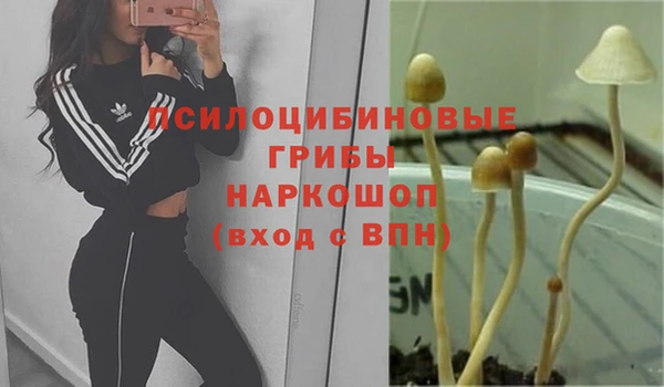 экстази Мегион