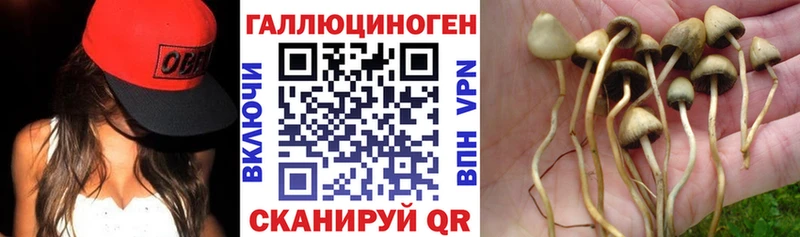 ссылка на мегу маркетплейс  Заполярный  Галлюциногенные грибы ЛСД 